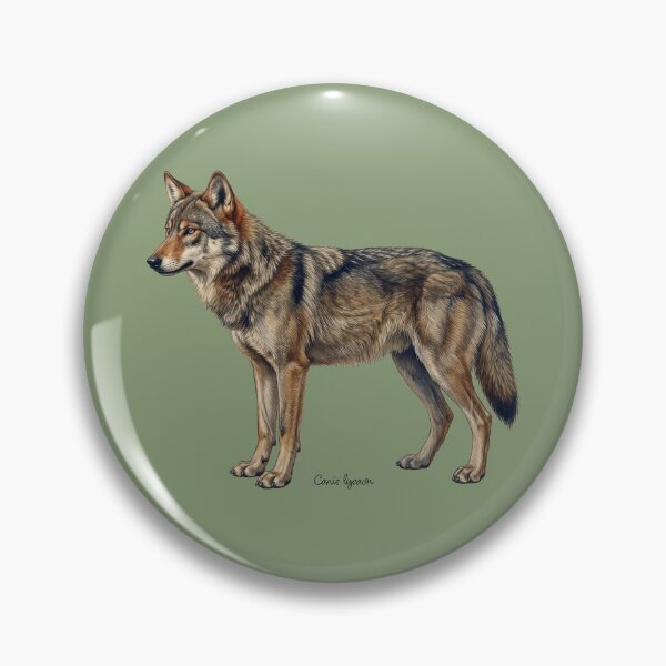 Item preview, Canis Lycaon: The Taxonomy of Eradication designed and sold by FreiherrPK.