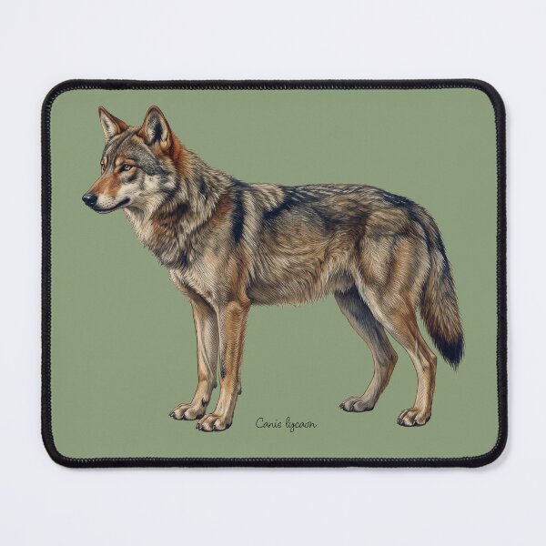 Item preview, Canis Lycaon: The Taxonomy of Eradication designed and sold by FreiherrPK.