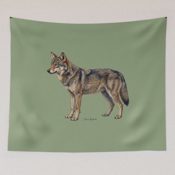 Item preview, Canis Lycaon: The Taxonomy of Eradication designed and sold by FreiherrPK.