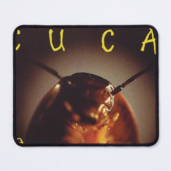 Item preview, La Cuca - La Racha album 1995 designed and sold by Lanhvamy2689.