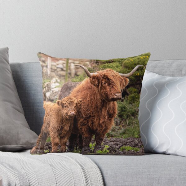 Item preview, Highland Cows, Mother and Calf designed and sold by kathleenjean.