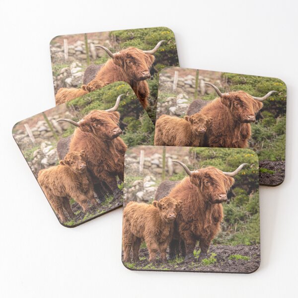 Item preview, Highland Cows, Mother and Calf designed and sold by kathleenjean.