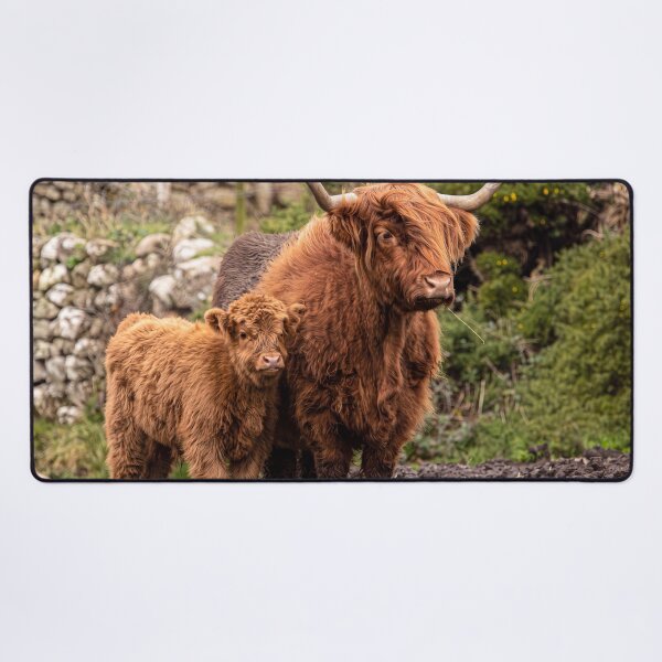 Item preview, Highland Cows, Mother and Calf designed and sold by kathleenjean.