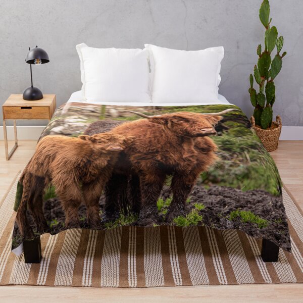 Artikelvorschau, Hochlandrinder, Mutter und Kalb entworfen und verkauft von kathleenjean.