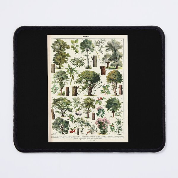 Item preview, Adolphe-Millot---Arbres-A---French-Vintage-Botanical-Poster designed and sold by ClayMontgomery.