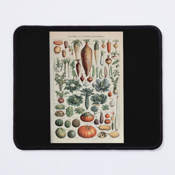Item preview, Adolphe-Millot-Legume-Et-Plante-Potageres-Pour-Tous designed and sold by SamsonJord.
