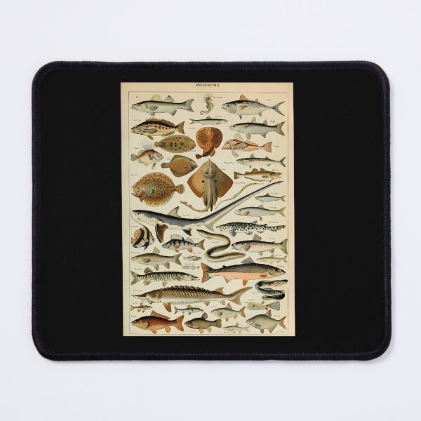 Item preview, Adolphe-Millot-Poissons-Pour-Tous designed and sold by ClayMontgomery.