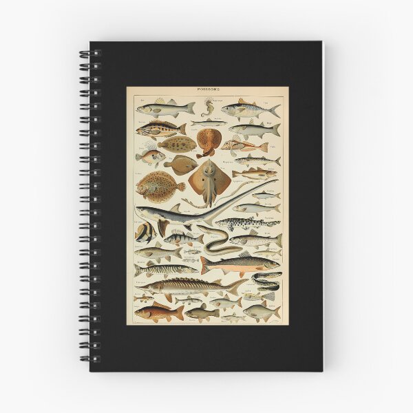 Item preview, Adolphe-Millot-Poissons-Pour-Tous designed and sold by ClayMontgomery.