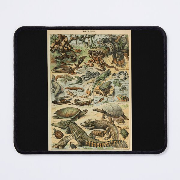 Item preview, Adolphe-Millot-Reptile-Pour-Tous designed and sold by PaigeProc.