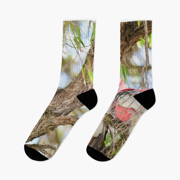 Item preview, Pink and gray designed and sold by GBNPHOTOGRAPHER.