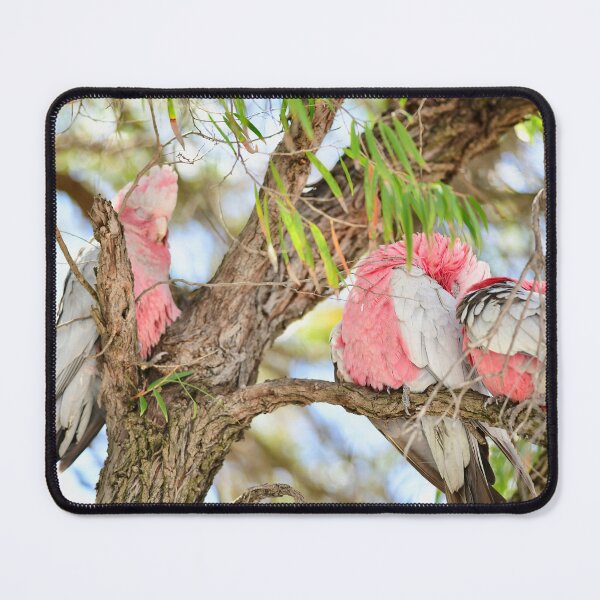 Item preview, Pink and gray designed and sold by GBNPHOTOGRAPHER.