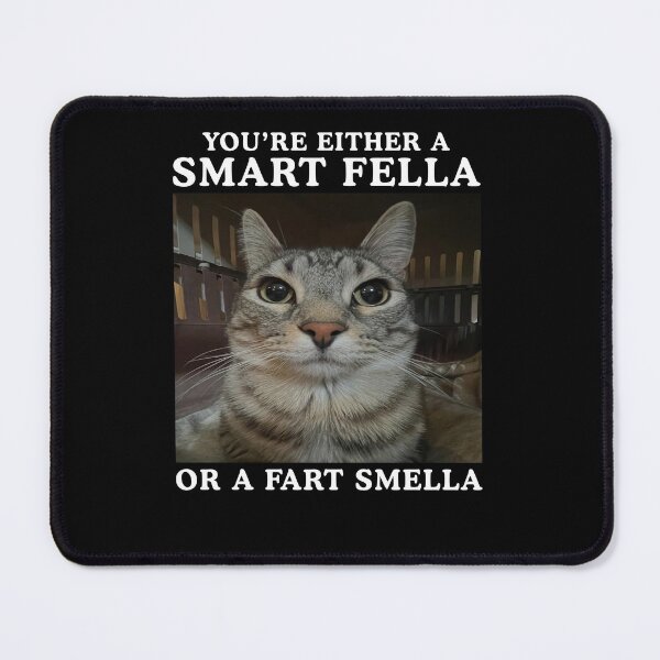 Artikelvorschau, Du bist entweder ein schlauer Kerl oder eine Furz-riechende Katze (Meme) entworfen und verkauft von studio-ssaam.