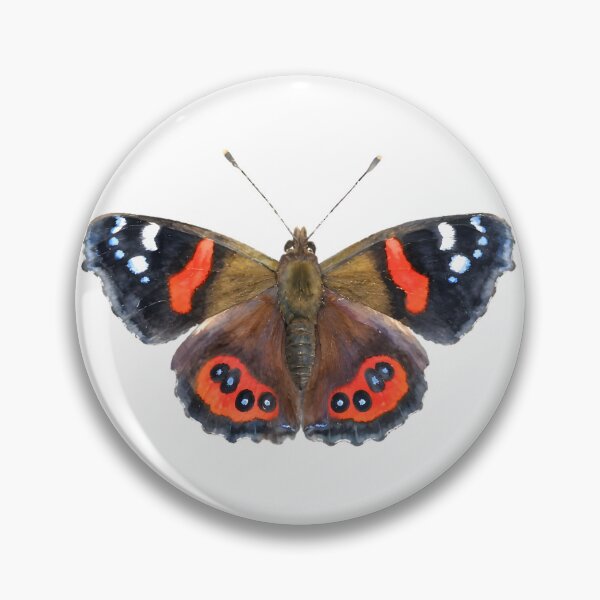 Item preview, New Zealand red admiral (Vanessa gonerilla) designed and sold by HOMETOWN86.