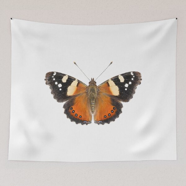 Item preview, Yellow Admiral (Vanessa itea) designed and sold by HOMETOWN86.