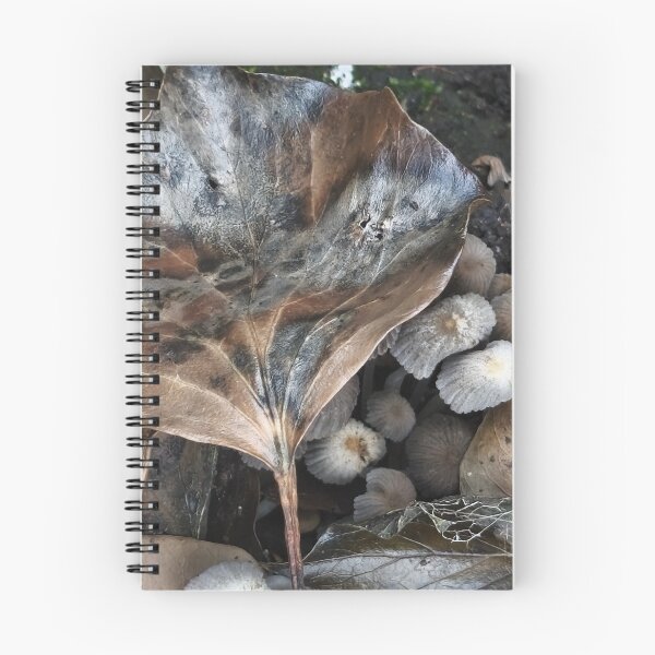 Item preview, Photography with a phone camera designed and sold by SabrinaRad777.