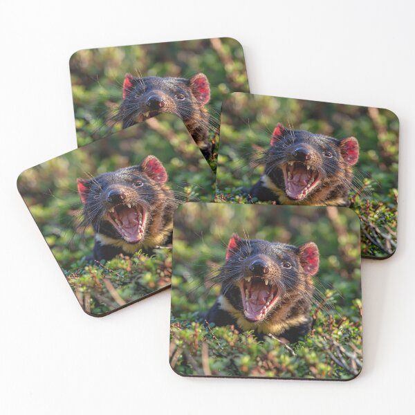 Item preview, Tasmanian Devil Snarling in Bush Digital Art designed and sold by EnhancedReality.