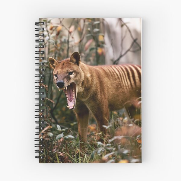 Item preview, Thylacine in Tasmanian Bush Digital Art designed and sold by EnhancedReality.