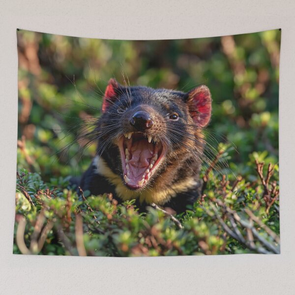 Item preview, Tasmanian Devil Snarling in Bush Digital Art designed and sold by EnhancedReality.