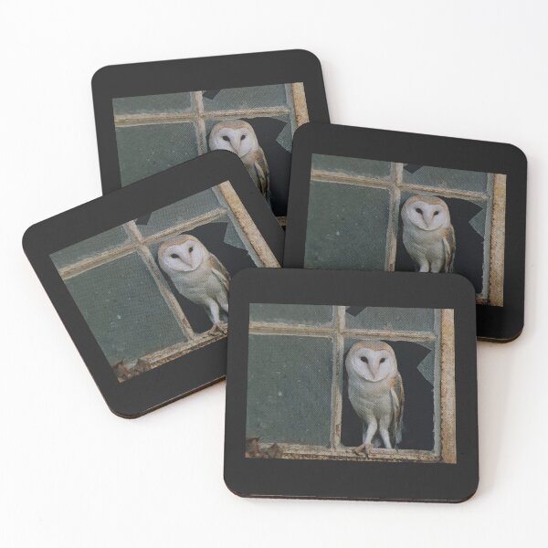 Item preview, owl, bird designed and sold by colorgallery11.