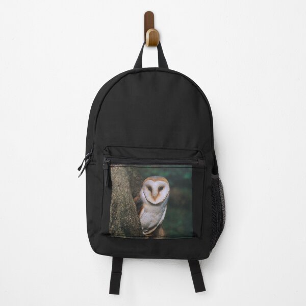 Item preview, owl, bird designed and sold by colorgallery11.