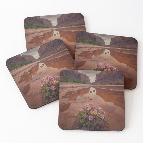 Item preview, The Desert After Rain | Wildflower Canyon Nature Wall Art designed and sold by VeloraNature.