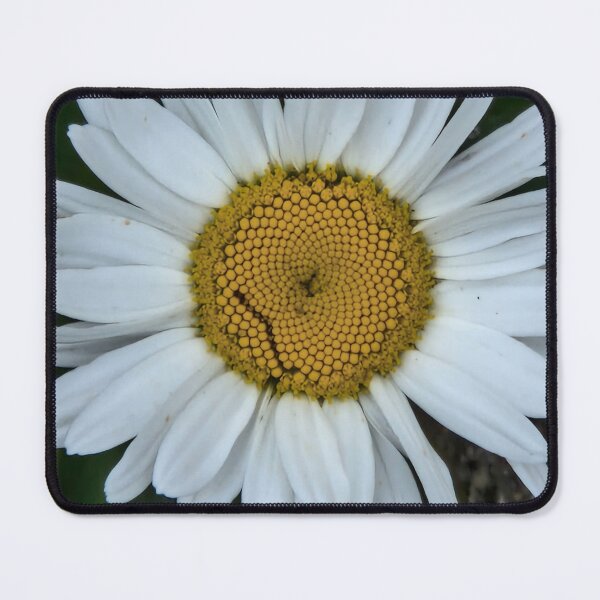 Item preview, Daisy, large seen growing in the garden. designed and sold by country craft designs.