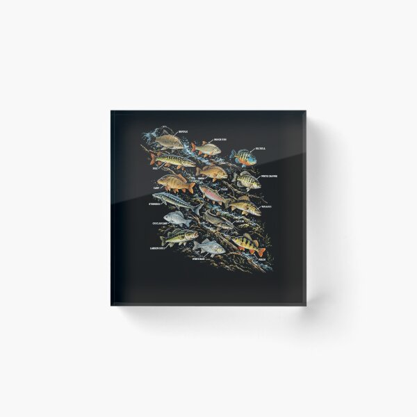 Item preview, Freshwater Fish Species Identification Angler Fisherman Guide designed and sold by FolkGraphics.