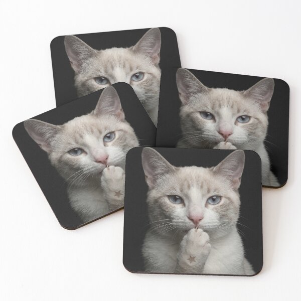Item preview, Secret Paw Cat with Star Tattoo & Blue Eyes designed and sold by PetalsPaws.