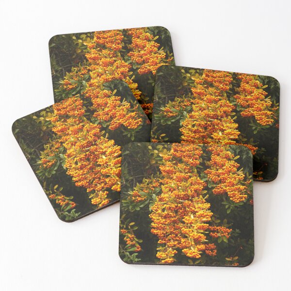 Item preview, Little Orange Berries designed and sold by Murph's Images.