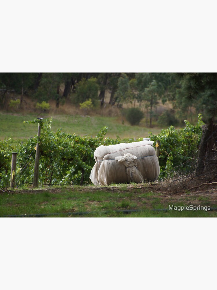 Thumbnail 3 of 3, Sticker, Vintage Net - Magpie Springs - Adelaide Hills Wine Region - Fleurieu Peninsula - Winery designed and sold by MagpieSprings.