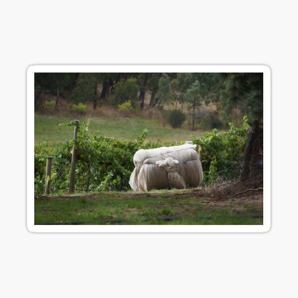 Item preview, Vintage Net - Magpie Springs - Adelaide Hills Wine Region - Fleurieu Peninsula - Winery designed and sold by MagpieSprings.