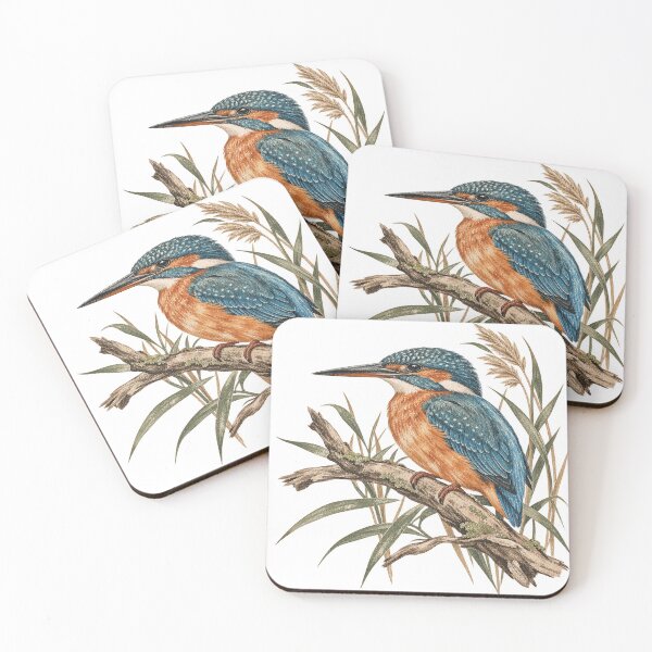 Item preview, Kingfisher on branch, vintage bird, ornithology, nature designed and sold by LongIslandDesgn.