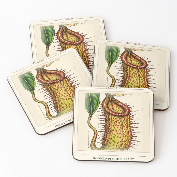 Item preview, Nepenthes Hamata – Rare Carnivorous Pitcher Plant Botanical Art designed and sold by nerdamus.