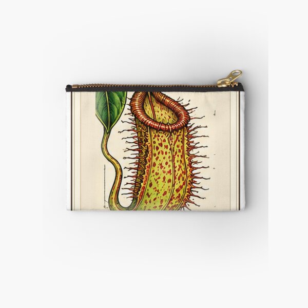 Item preview, Nepenthes Hamata – Rare Carnivorous Pitcher Plant Botanical Art designed and sold by nerdamus.