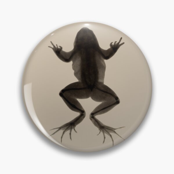 Item preview, Frog X-Ray with Healing Fracture, Albumen Photoprint after Arthur Schuster, 1896 designed and sold by Exhumed Archives.