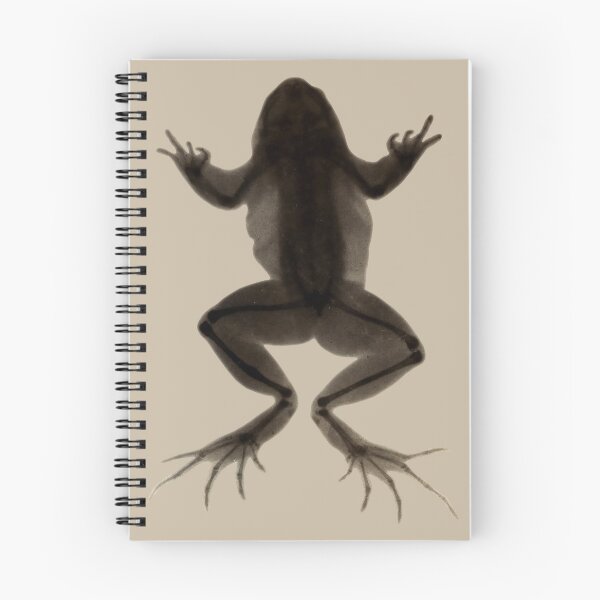 Item preview, Frog X-Ray with Healing Fracture, Albumen Photoprint after Arthur Schuster, 1896 designed and sold by Exhumed Archives.