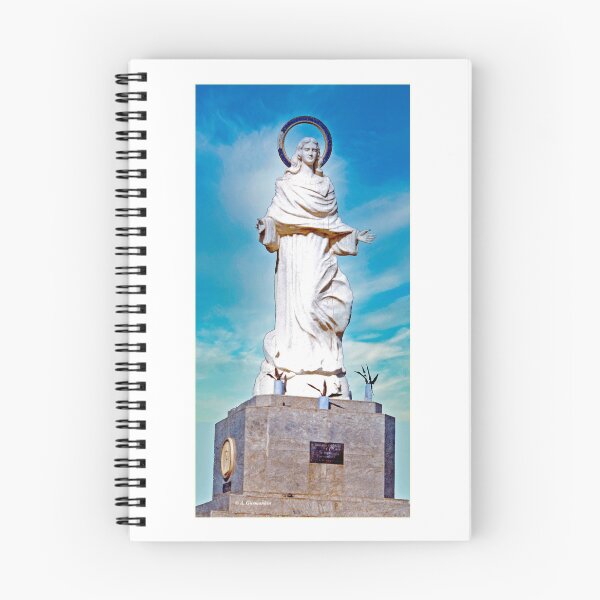 Item preview, Willemstad, Curacao, June 16, 1960, Statue of the Virgin Mary designed and sold by AMacGPhilly.