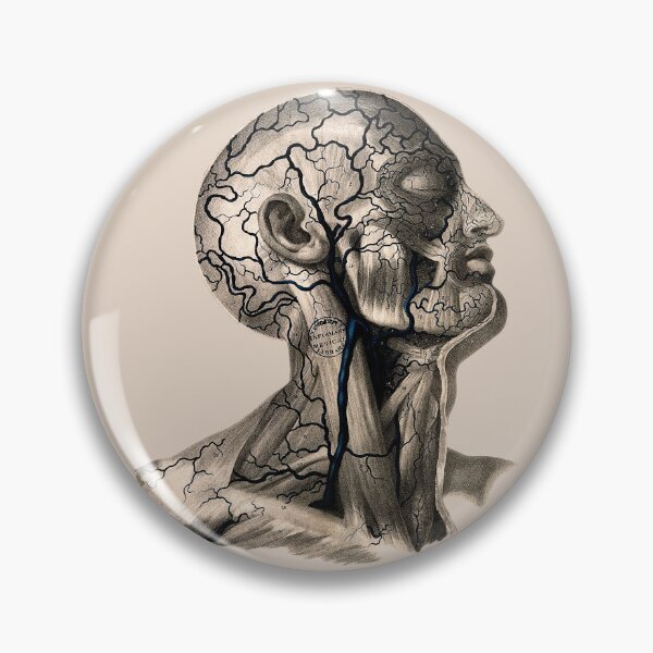 Item preview, Veins of the Head and Neck, Anatomical Lithograph by William Fairland, 1837 designed and sold by Exhumed Archives.