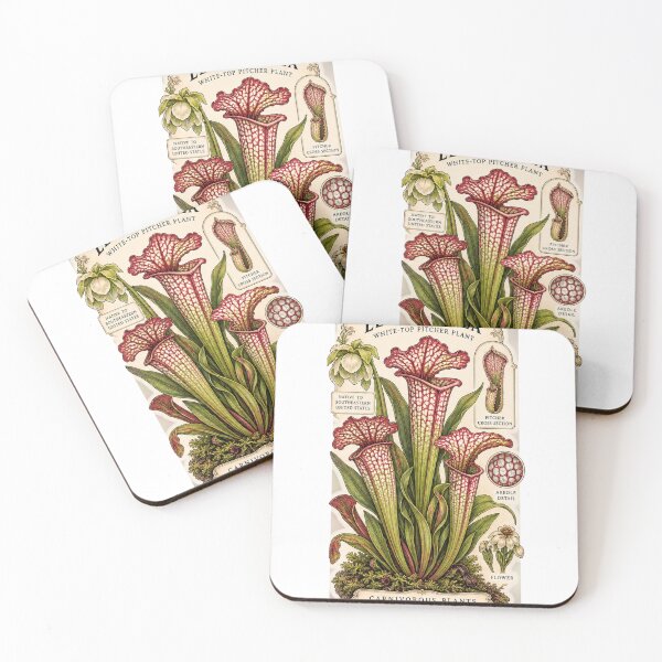 Item preview, Sarracenia Leucophylla White Top Pitcher Plant – Vintage Botanical Illustration designed and sold by nerdamus.