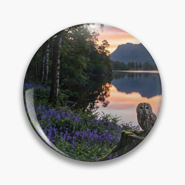 Item preview, Tawny Owl Lakeside Bluebell Dawn designed and sold by JC Art Creations.