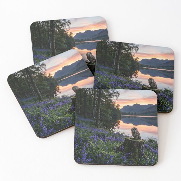 Item preview, Tawny Owl Lakeside Bluebell Dawn designed and sold by JC Art Creations.
