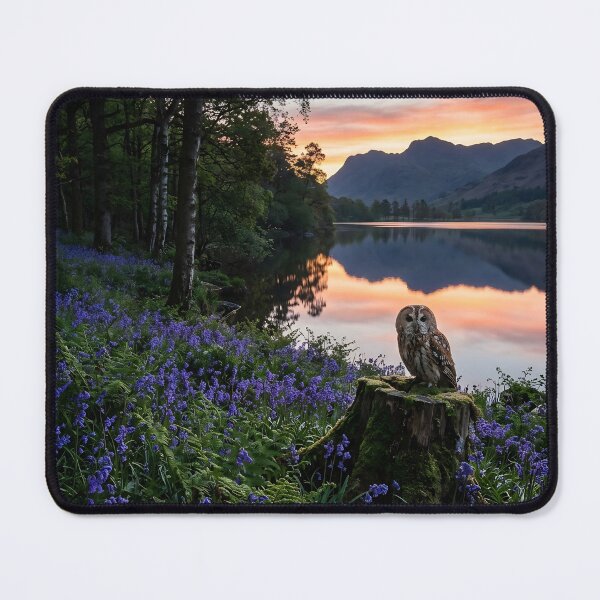Item preview, Tawny Owl Lakeside Bluebell Dawn designed and sold by JC Art Creations.