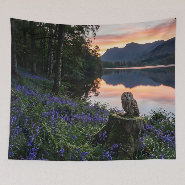 Item preview, Tawny Owl Lakeside Bluebell Dawn designed and sold by JC Art Creations.