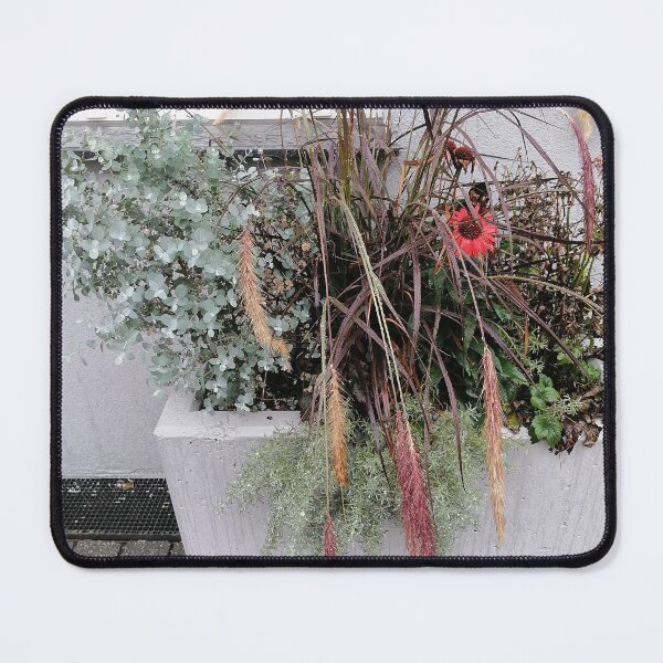Item preview, Decorative Planter With Pink Flowers And Ornamental Grass designed and sold by PhuongVoArt.