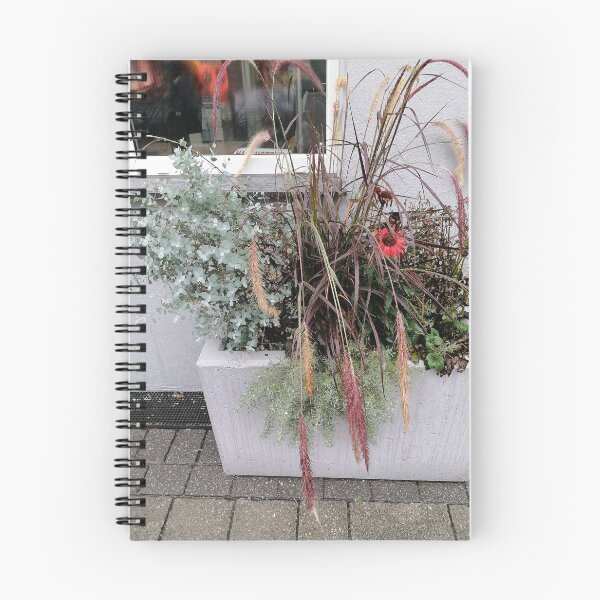 Item preview, Decorative Planter With Pink Flowers And Ornamental Grass designed and sold by PhuongVoArt.