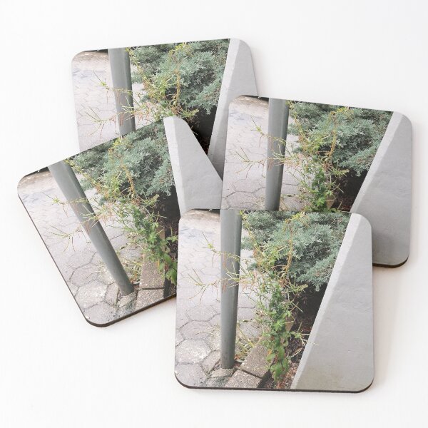 Item preview, Wild Green Plant Growing Beside A Sidewalk designed and sold by PhuongVoArt.
