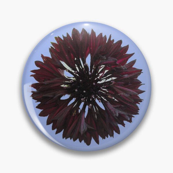 Item preview, Black Bachelor Button designed and sold by ambervpk.