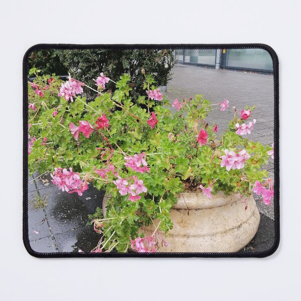 Item preview, Pink Geranium Flowers Cascading From A Stone Planter designed and sold by PhuongVoArt.