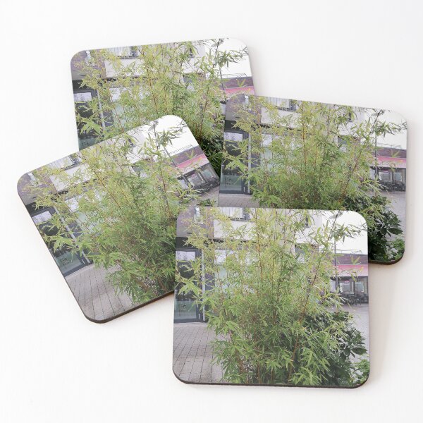 Item preview, Tall Green Bamboo Growing Outside Modern Buildings designed and sold by PhuongVoArt.