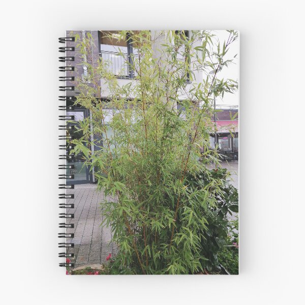Item preview, Tall Green Bamboo Growing Outside Modern Buildings designed and sold by PhuongVoArt.